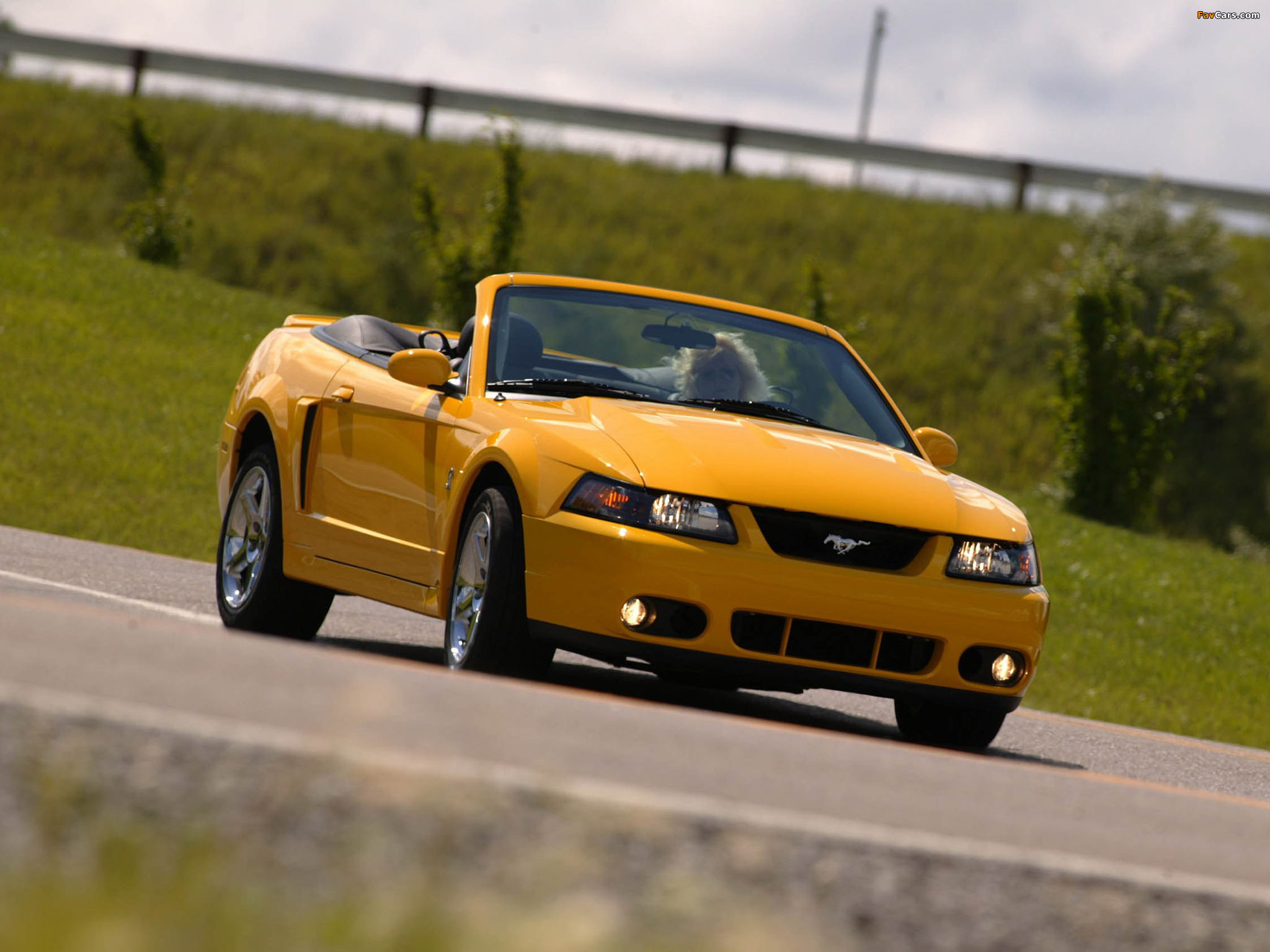 Pictures of Mustang SVT Cobra Convertible 2002–04 (2048 x 1536)