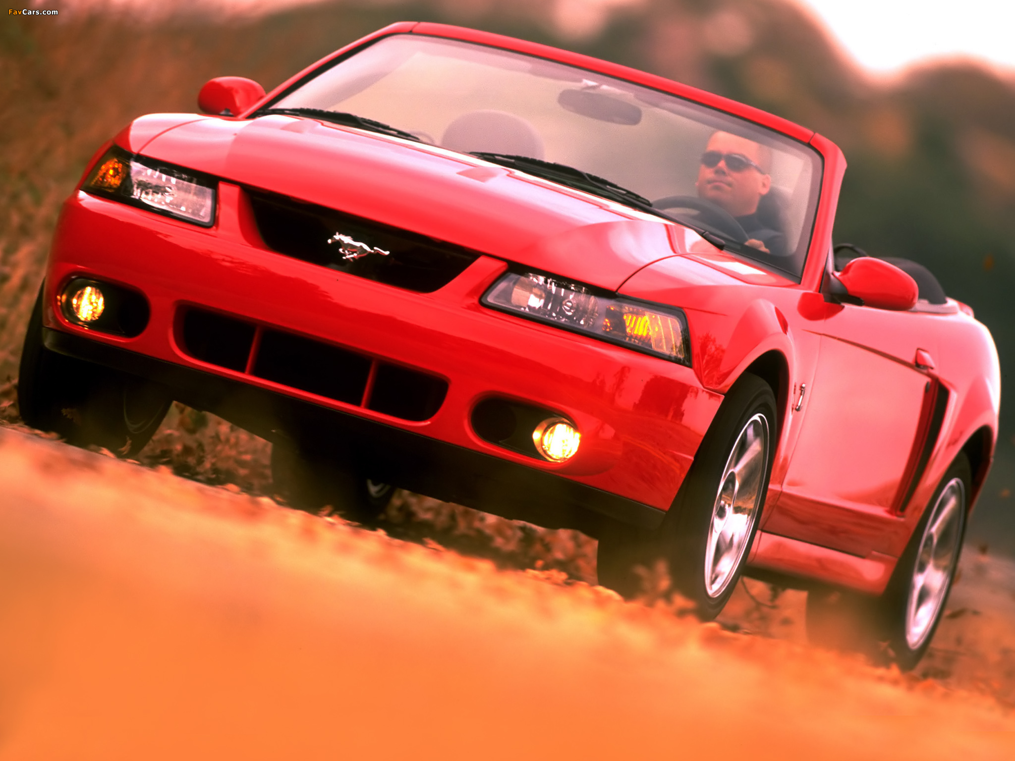 Pictures of Mustang SVT Cobra Convertible 2002–04 (2048 x 1536)