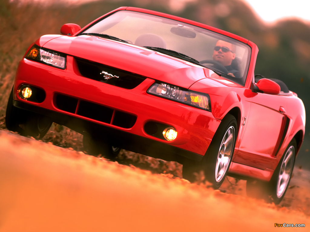 Pictures of Mustang SVT Cobra Convertible 2002–04 (1024 x 768)