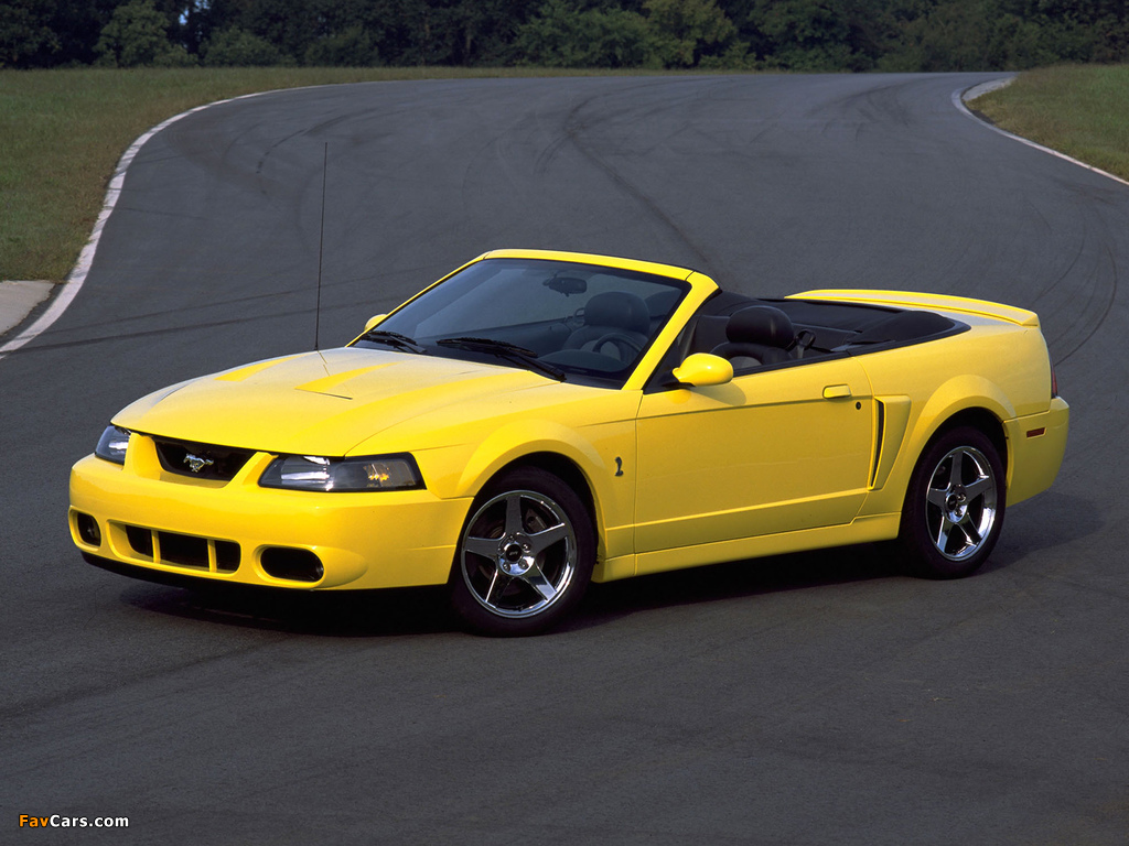 Pictures of Mustang SVT Cobra Convertible 2002–04 (1024 x 768)