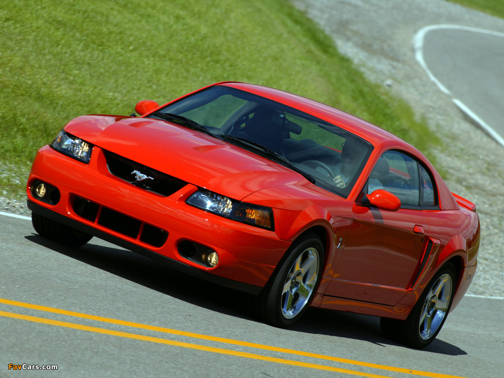 Pictures of Mustang SVT Cobra Coupe 2002–04 (1024 x 768)