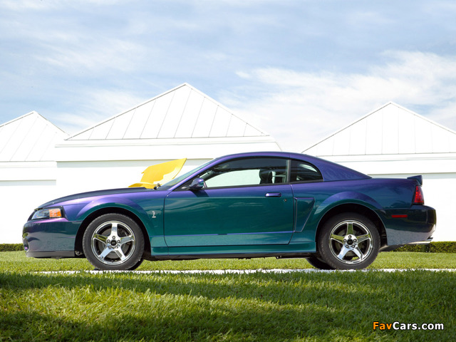 Pictures of Mustang SVT Cobra Mystichrome 2004 (640 x 480)