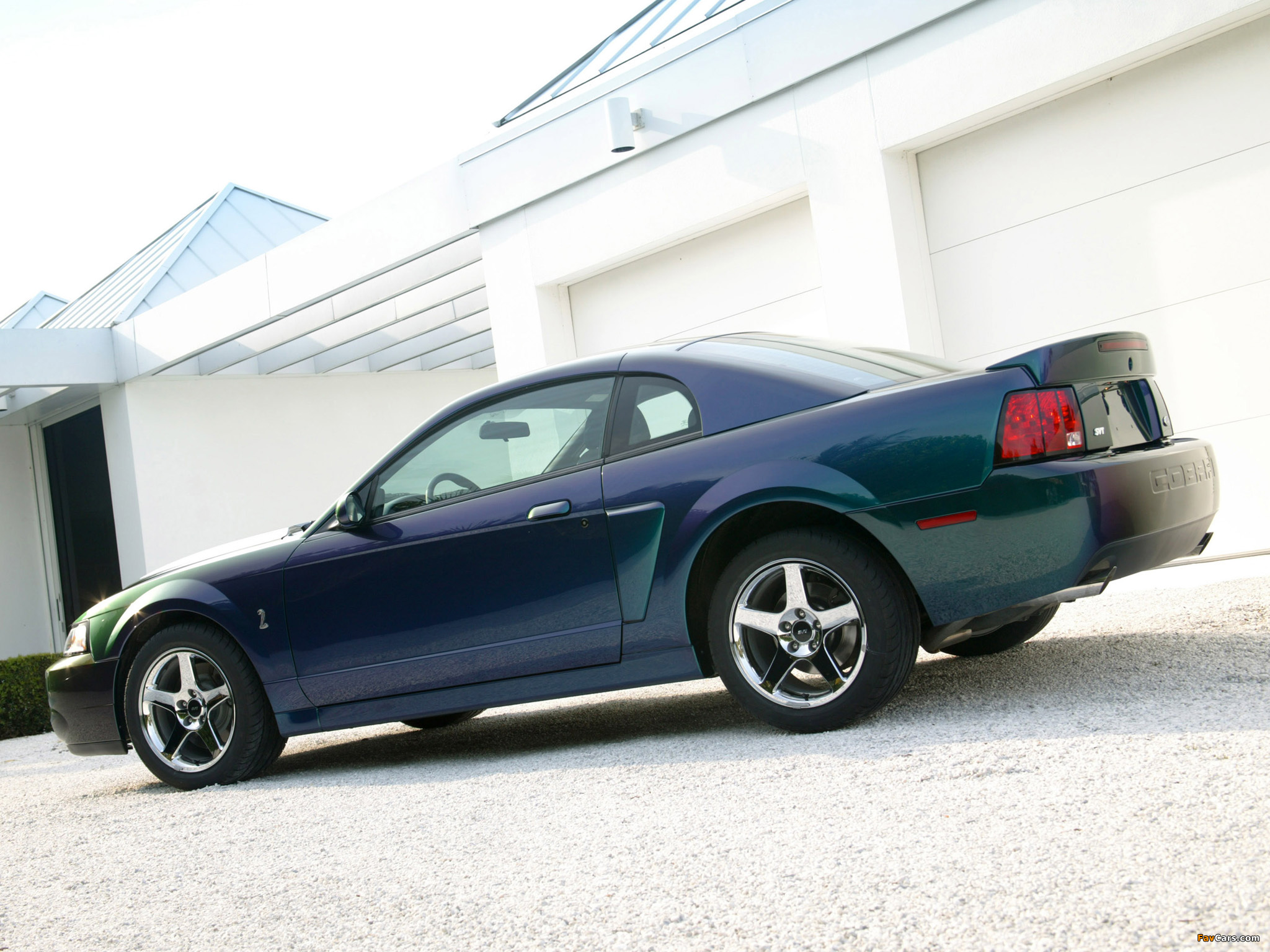 Pictures of Mustang SVT Cobra Mystichrome 2004 (2048 x 1536)