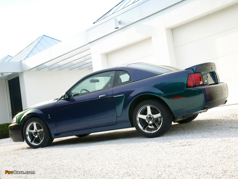 Pictures of Mustang SVT Cobra Mystichrome 2004 (800 x 600)
