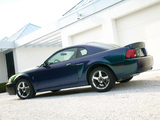 Pictures of Mustang SVT Cobra Mystichrome 2004