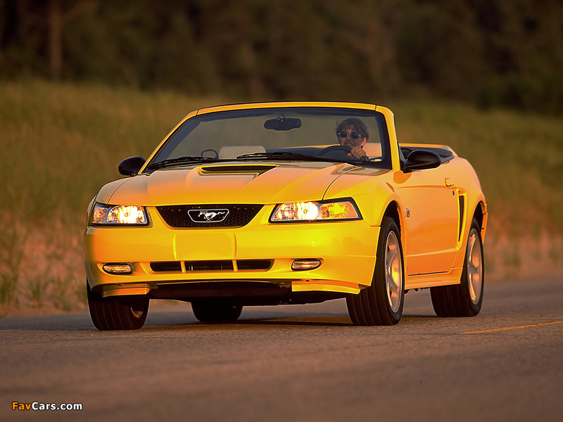 Mustang GT Convertible 1999–2004 wallpapers (800 x 600)