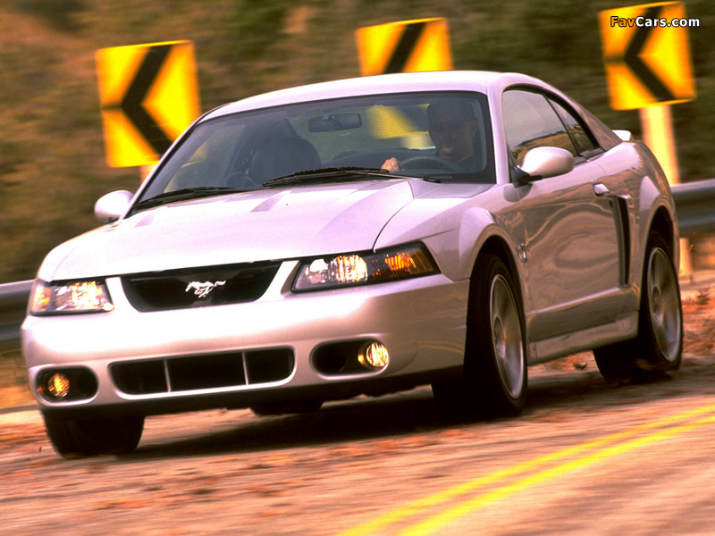 Mustang SVT Cobra Coupe 2002–04 wallpapers (800 x 600)