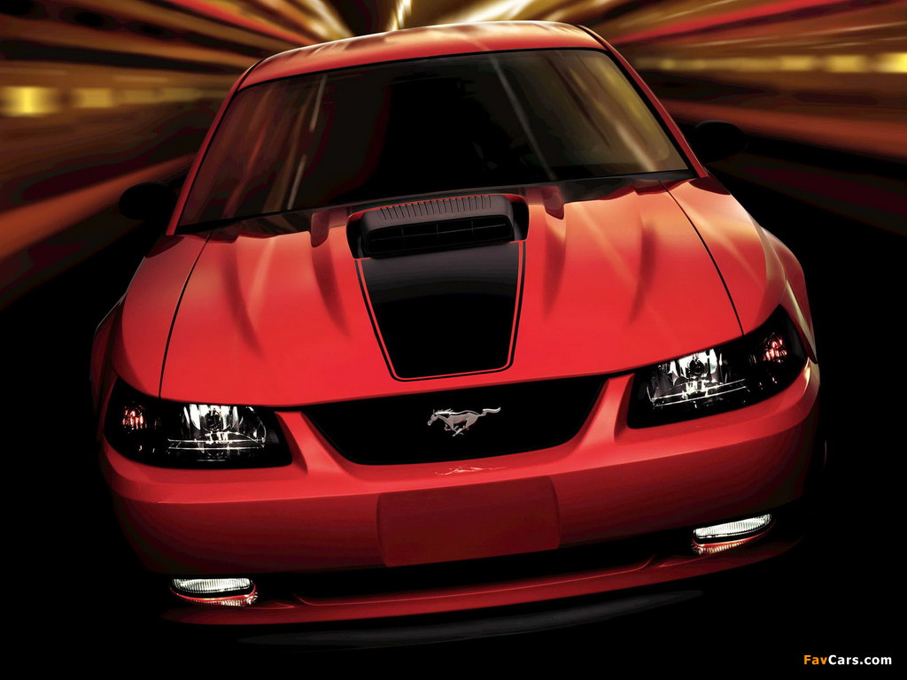 Mustang Mach 1 2003–04 wallpapers (1024 x 768)