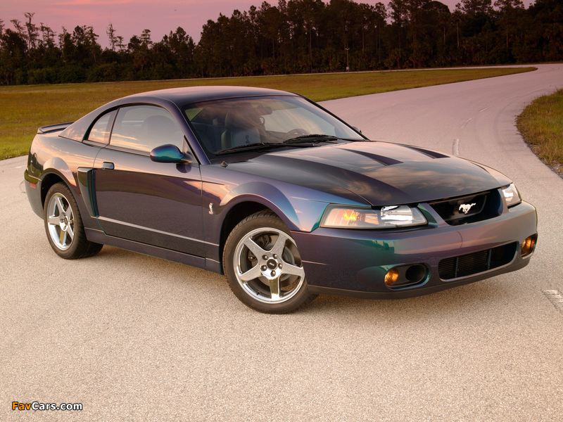 Mustang SVT Cobra Mystichrome 2004 wallpapers (800 x 600)