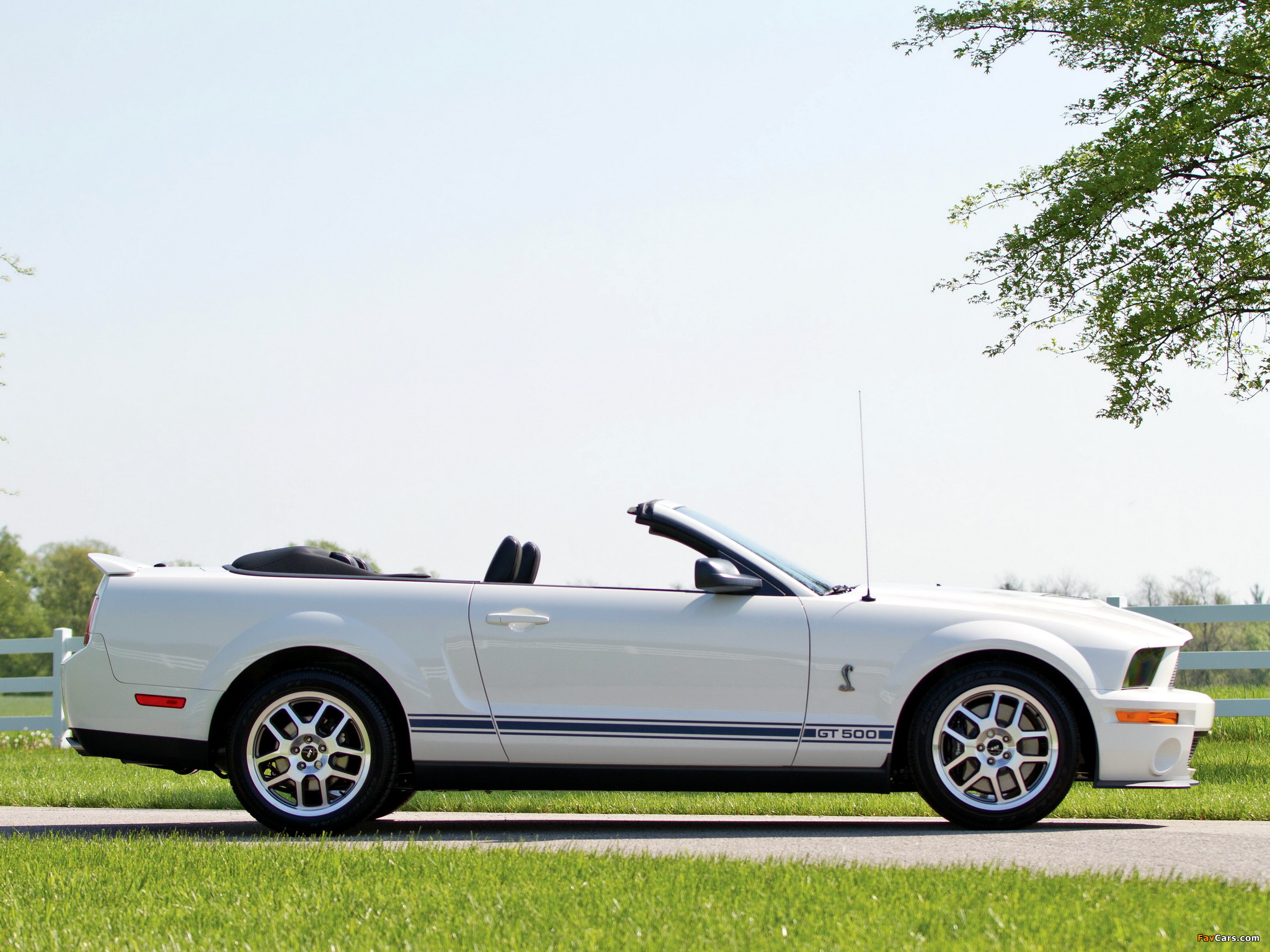 Images of Shelby GT500 Convertible 2005–08 (2048 x 1536)