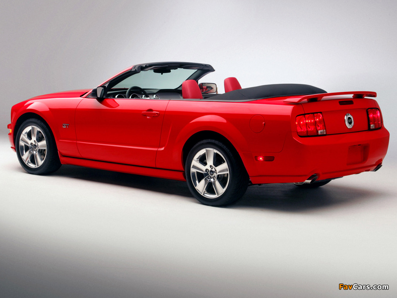 Images of Mustang GT Convertible 2005–08 (800 x 600)