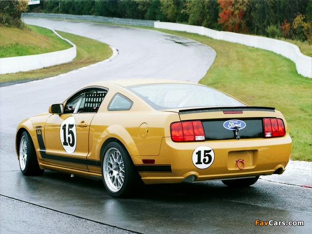 Images of Mustang Race Car 2005–09 (640 x 480)