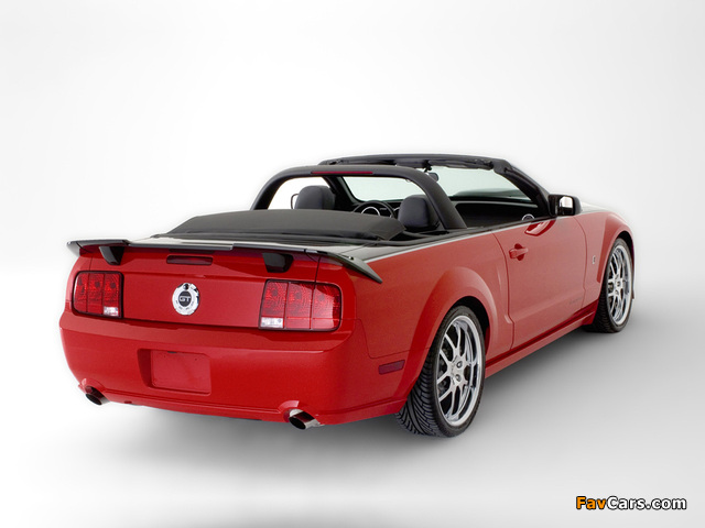 Images of Roush Roadster 2006 (640 x 480)