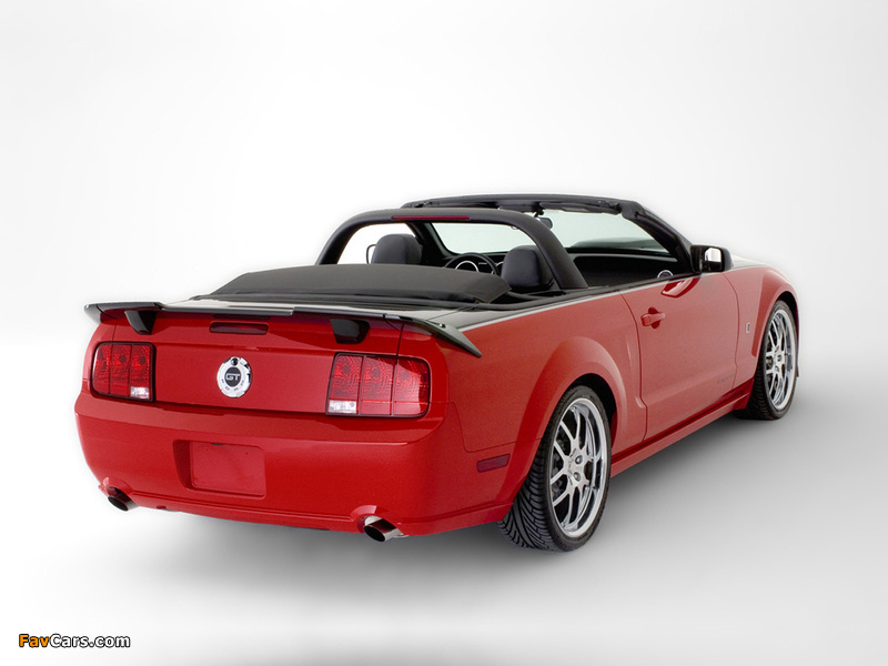 Images of Roush Roadster 2006 (800 x 600)