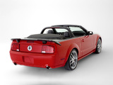Images of Roush Roadster 2006