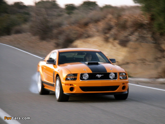 Images of Saleen S302 Parnelli Jones Limited Edition 2006–07 (640 x 480)