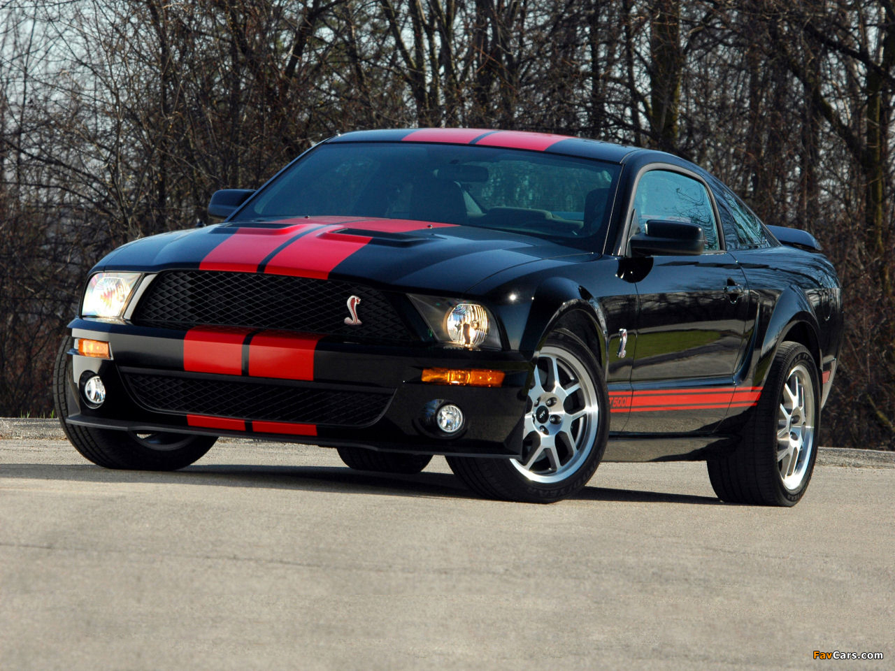 Images of Shelby GT500 Red Stripe Appearance Package 2007 (1280 x 960)