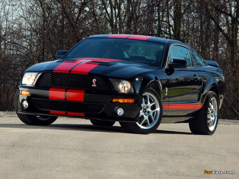 Images of Shelby GT500 Red Stripe Appearance Package 2007 (800 x 600)