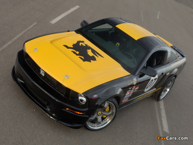 Images of Shelby GT500 Bullrun Challenge 2008 (640 x 480)