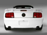 Images of Roush Speedster 2008