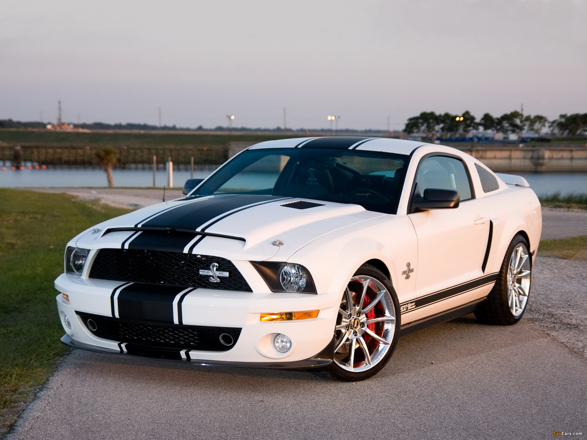 Images of Shelby GT500 Super Snake 2008–10 (2048 x 1536)