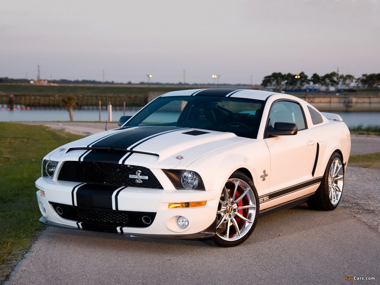 Images of Shelby GT500 Super Snake 2008–10 (1280 x 960)