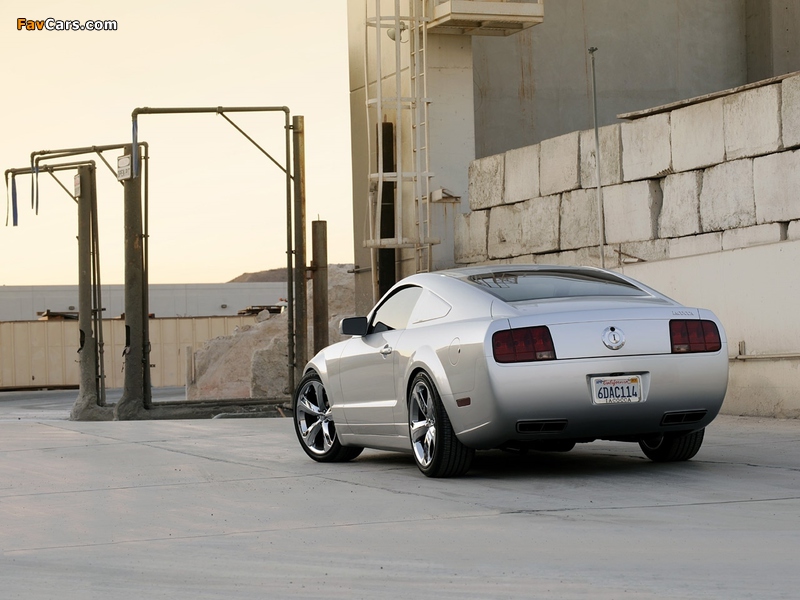 Images of Mustang Iacocca 45th Anniversary Edition 2009 (800 x 600)