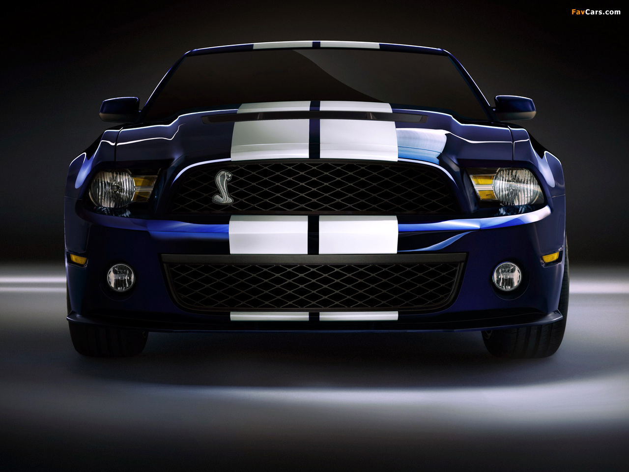 Images of Shelby GT500 2009–10 (1280 x 960)
