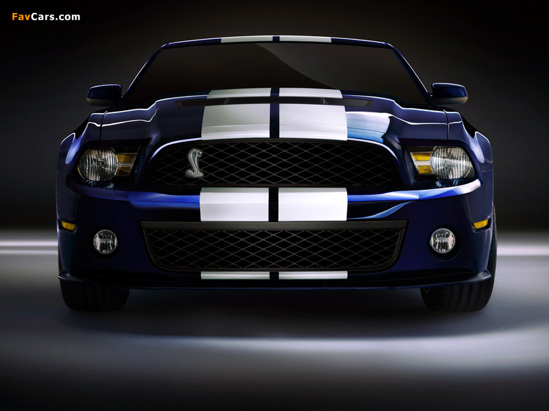 Images of Shelby GT500 2009–10 (800 x 600)