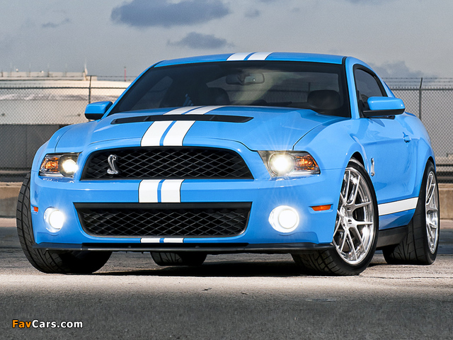 Images of Shelby GT500 2009–10 (640 x 480)