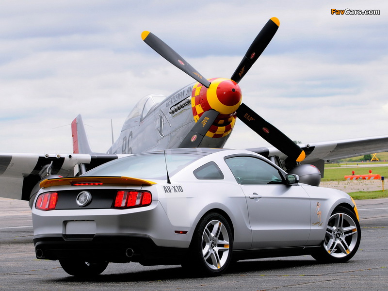 Images of Mustang AV-X10 Dearborn Doll 2009 (800 x 600)