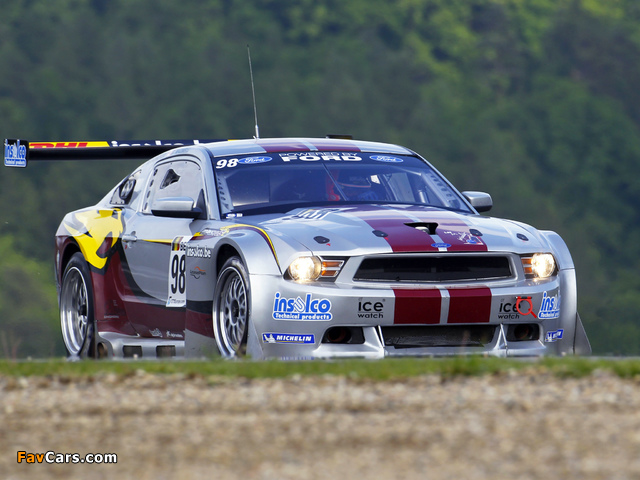Images of Mustang GT3 2010 (640 x 480)
