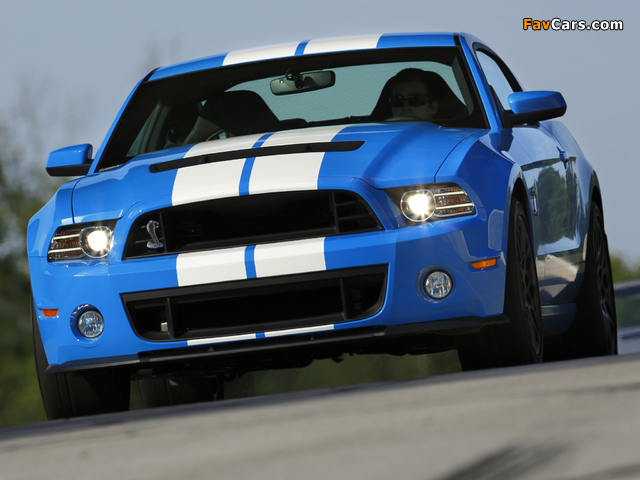 Images of Shelby GT500 SVT 2012 (640 x 480)