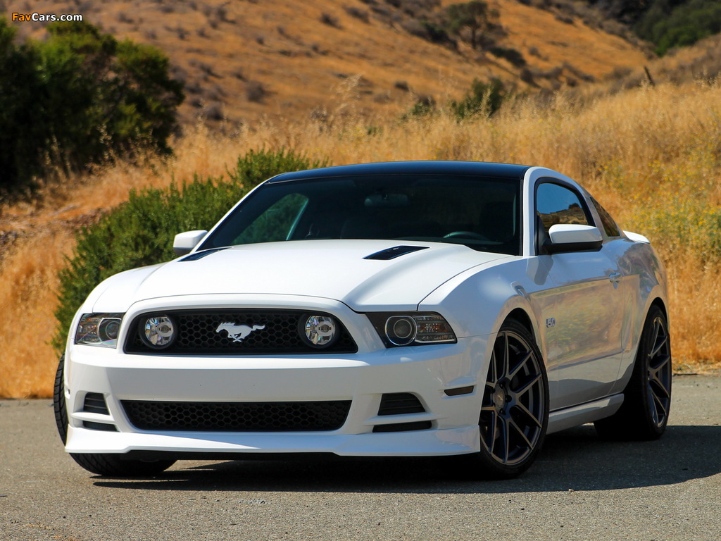 Images of Mustang 5.0 GT 2012 (1024 x 768)