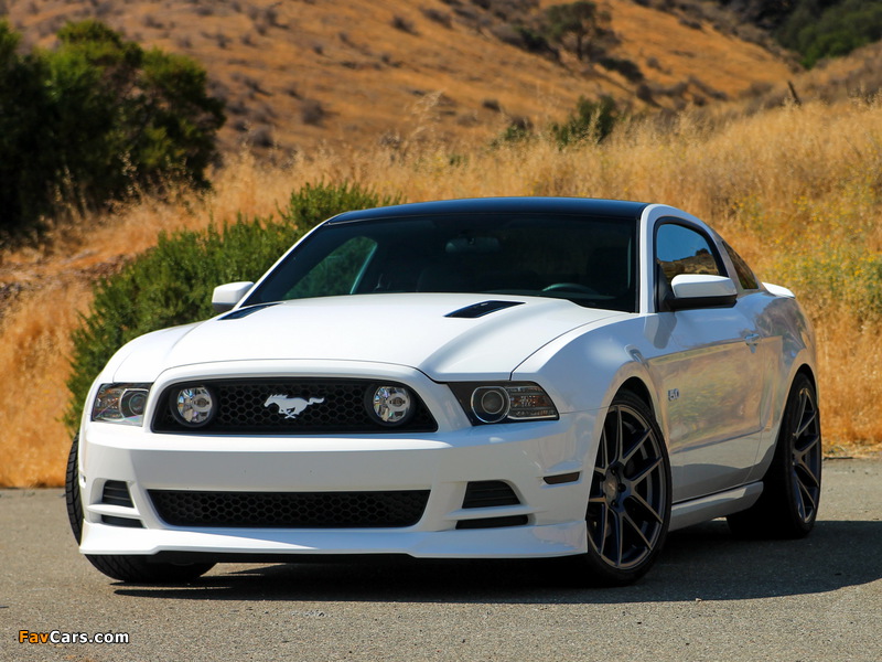 Images of Mustang 5.0 GT 2012 (800 x 600)