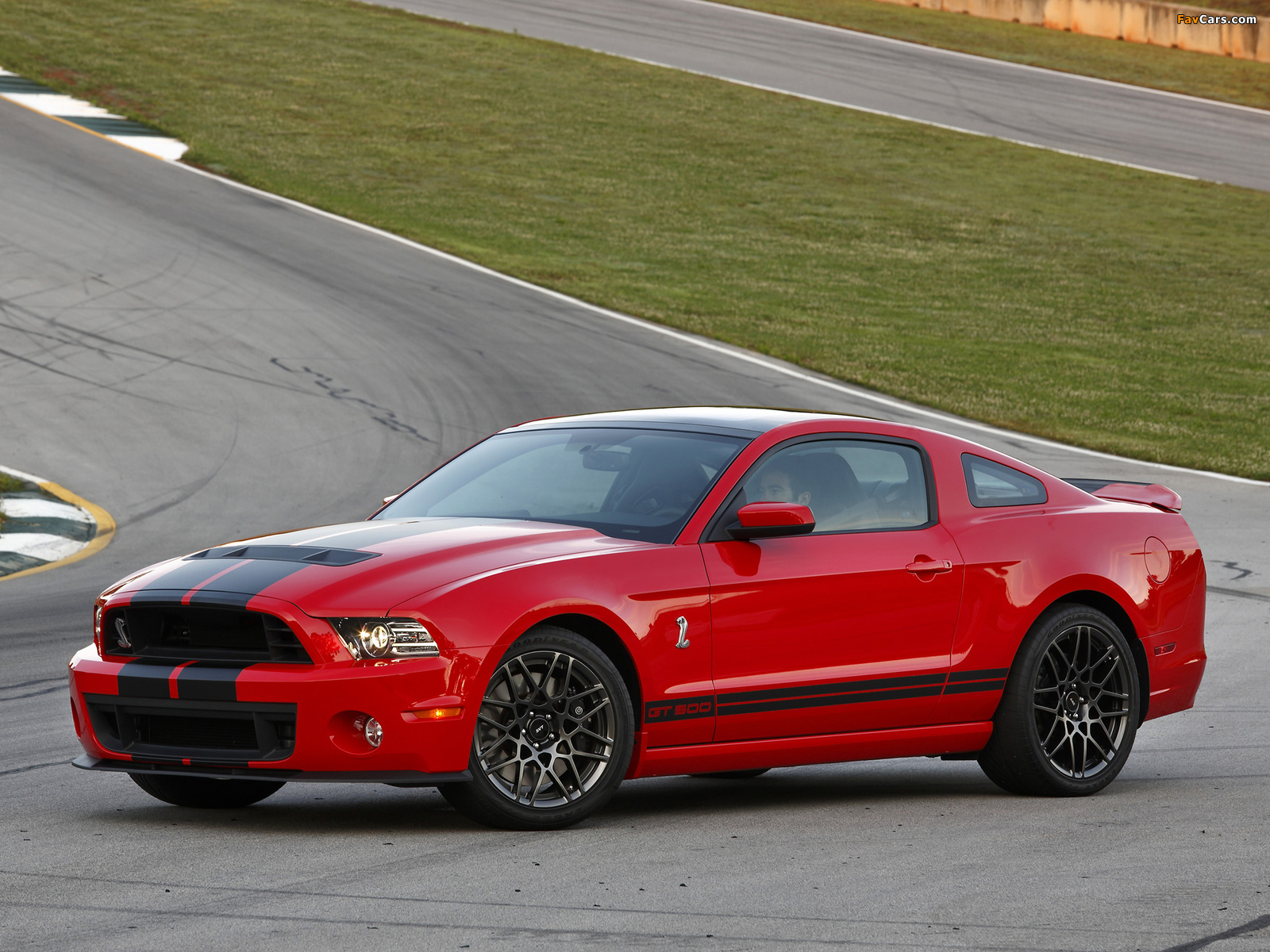 Images of Shelby GT500 SVT 2012 (1600 x 1200)