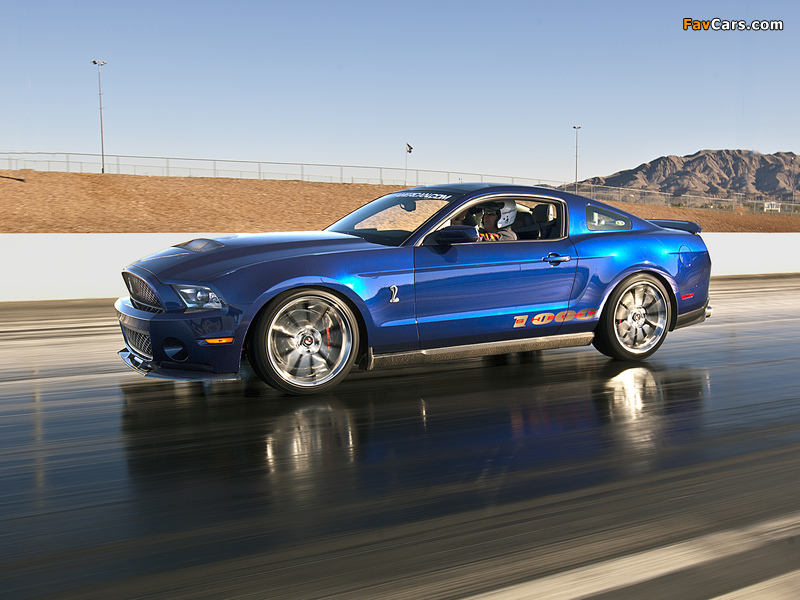 Images of Shelby 1000 2012 (800 x 600)