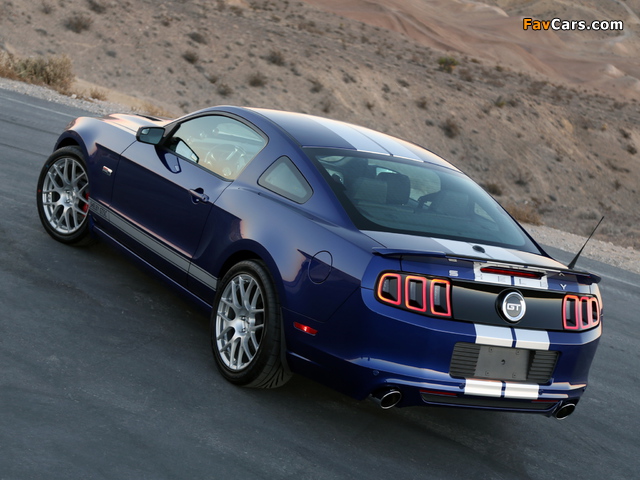 Images of Shelby GT/SC 2014 (640 x 480)