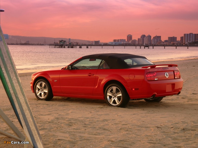 Mustang GT Convertible 2005–08 images (800 x 600)
