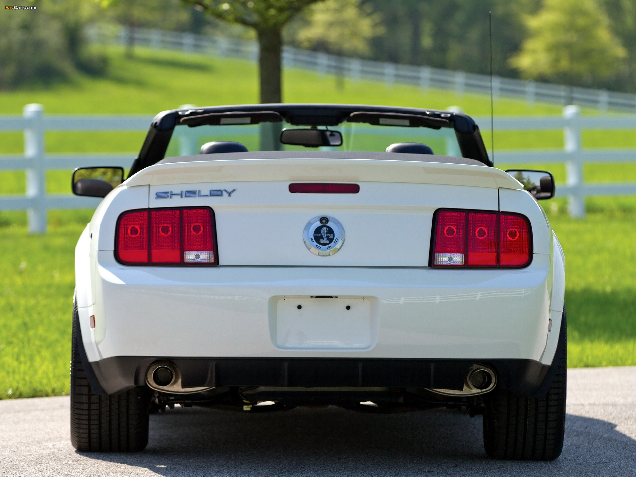 Shelby GT500 Convertible 2005–08 images (2048 x 1536)