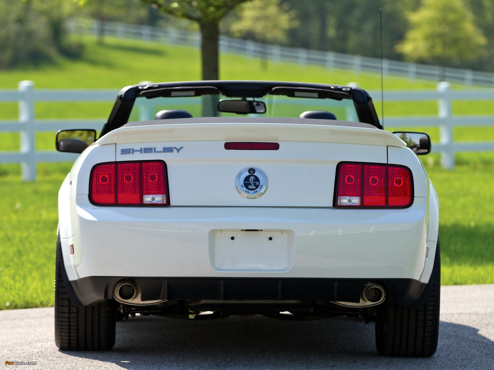 Shelby GT500 Convertible 2005–08 images (1600 x 1200)