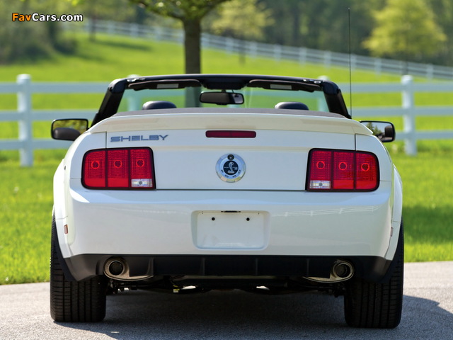 Shelby GT500 Convertible 2005–08 images (640 x 480)