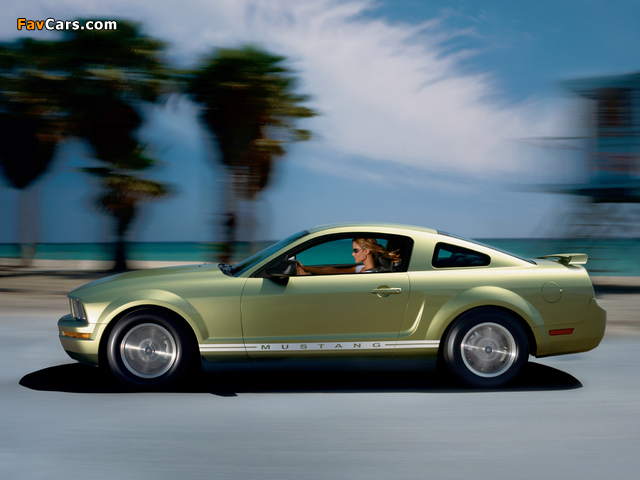 Mustang Coupe 2005–08 images (640 x 480)