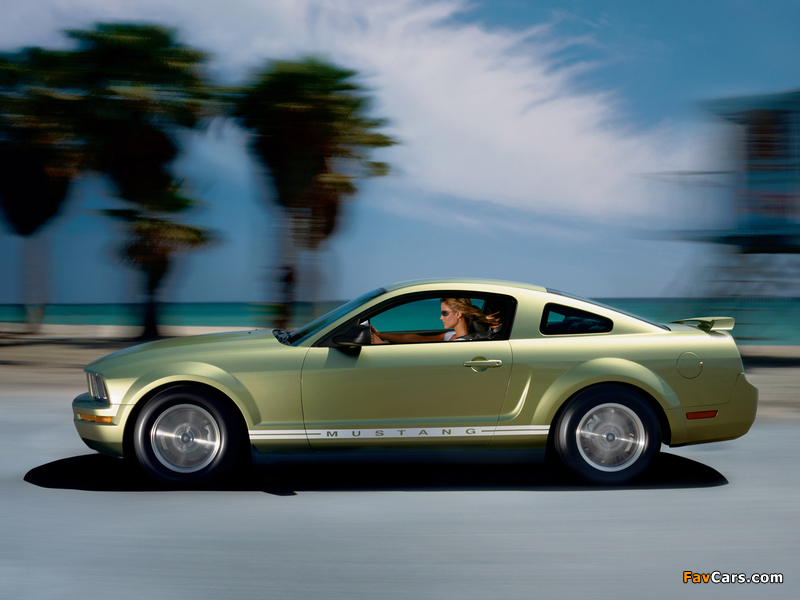 Mustang Coupe 2005–08 images (800 x 600)
