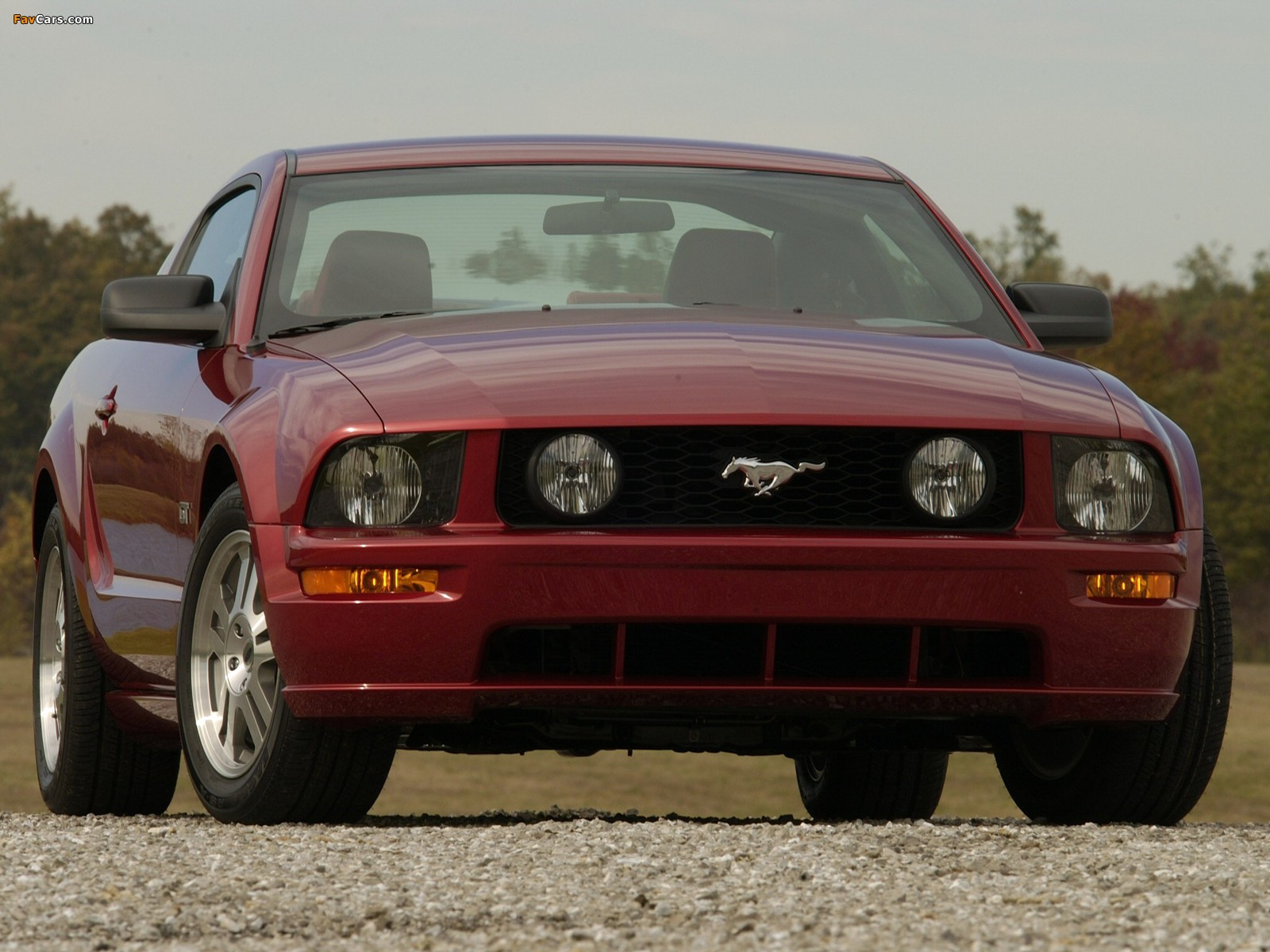 Mustang GT 2005–08 photos (1600 x 1200)