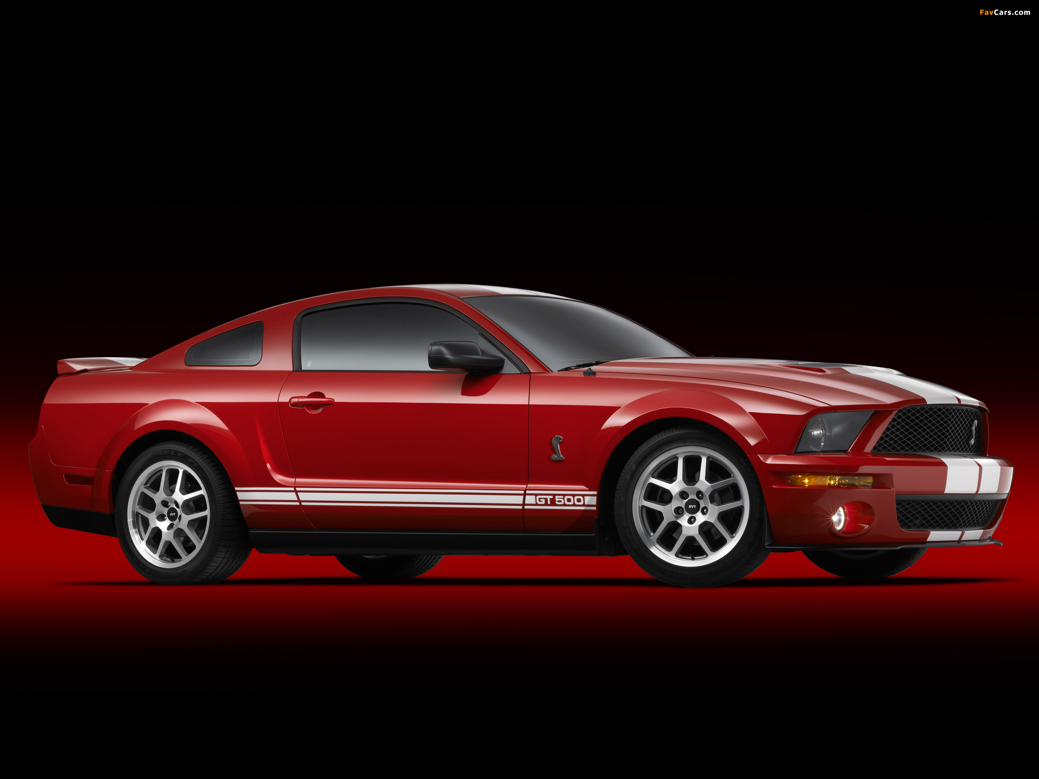 Shelby GT500 2005–08 photos (2048 x 1536)