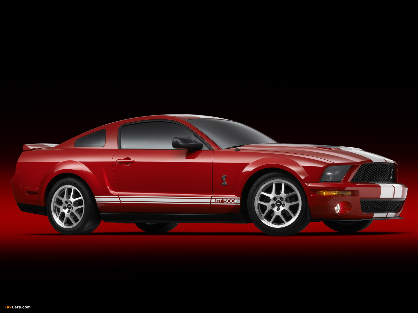 Shelby GT500 2005–08 photos (1600 x 1200)