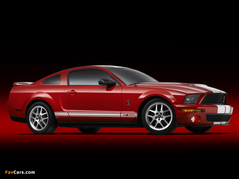 Shelby GT500 2005–08 photos (800 x 600)