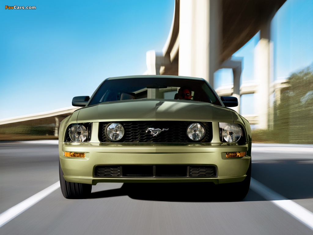 Mustang Coupe 2005–08 photos (1024 x 768)