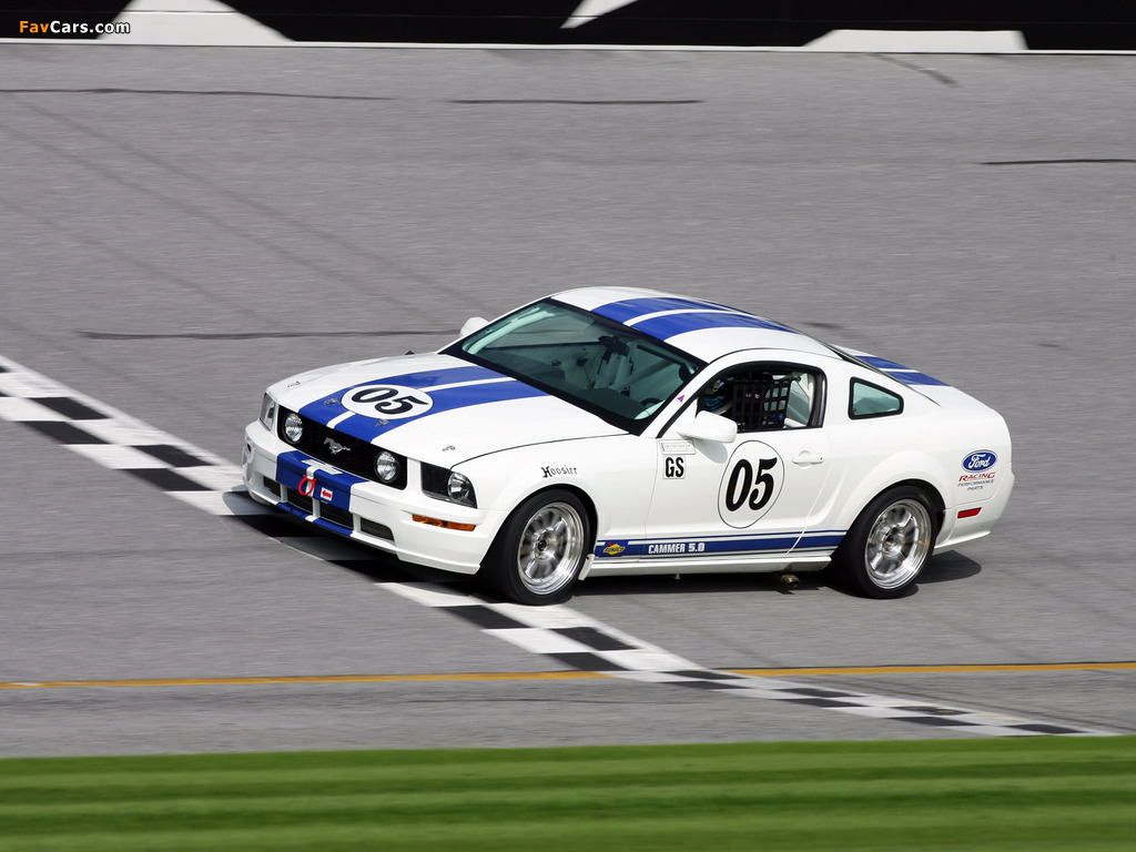 Mustang Race Car 2005–09 pictures (1024 x 768)